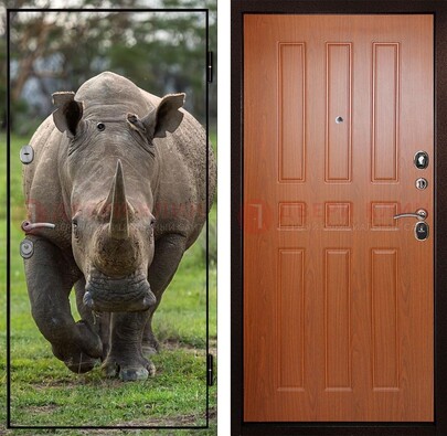Металлическая дверь с фотопечатью носорога ДФ-31 в Саратове