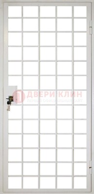 Белая металлическая решетчатая дверь ДР-2 в Саратове